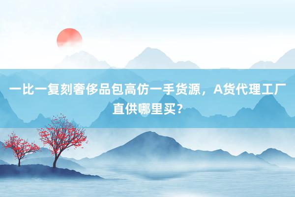 一比一复刻奢侈品包高仿一手货源，A货代理工厂直供哪里买？