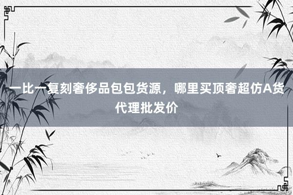 一比一复刻奢侈品包包货源，哪里买顶奢超仿A货代理批发价
