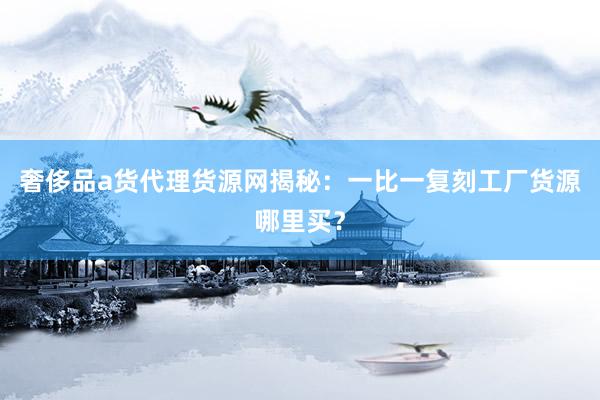 奢侈品a货代理货源网揭秘：一比一复刻工厂货源哪里买？