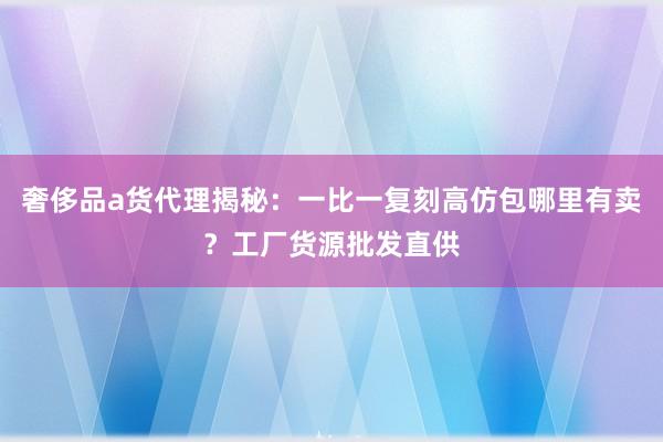 奢侈品a货代理揭秘：一比一复刻高仿包哪里有卖？工厂货源批发直供