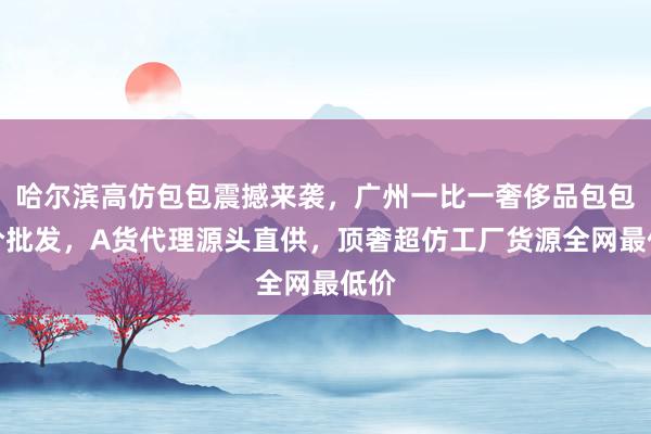哈尔滨高仿包包震撼来袭，广州一比一奢侈品包包低价批发，A货代理源头直供，顶奢超仿工厂货源全网最低价