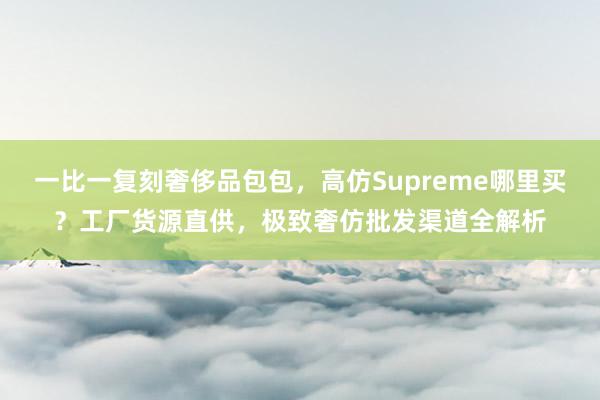 一比一复刻奢侈品包包，高仿Supreme哪里买？工厂货源直供，极致奢仿批发渠道全解析