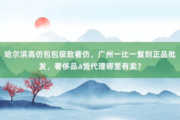 哈尔滨高仿包包极致奢仿，广州一比一复刻正品批发，奢侈品a货代理哪里有卖？