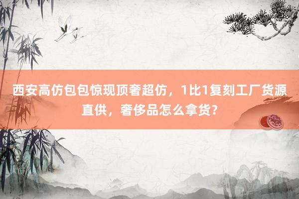 西安高仿包包惊现顶奢超仿，1比1复刻工厂货源直供，奢侈品怎么拿货？