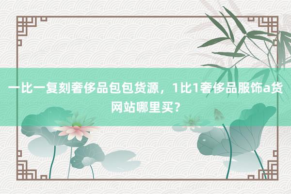 一比一复刻奢侈品包包货源，1比1奢侈品服饰a货网站哪里买？