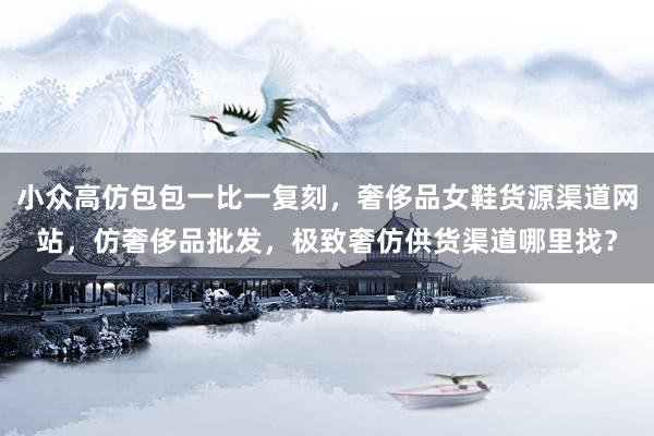 小众高仿包包一比一复刻，奢侈品女鞋货源渠道网站，仿奢侈品批发，极致奢仿供货渠道哪里找？