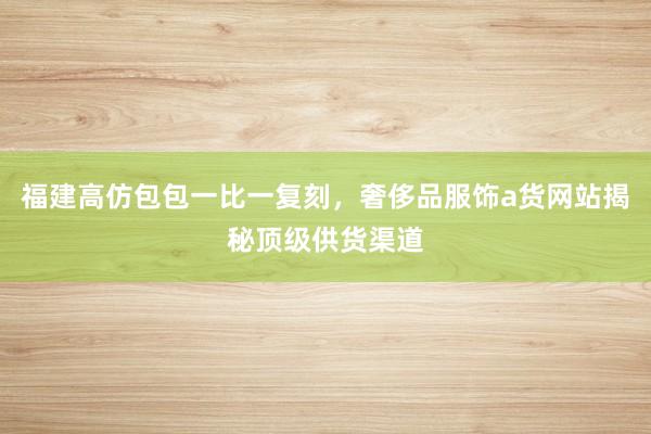 福建高仿包包一比一复刻，奢侈品服饰a货网站揭秘顶级供货渠道
