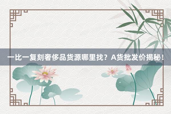 一比一复刻奢侈品货源哪里找？A货批发价揭秘！