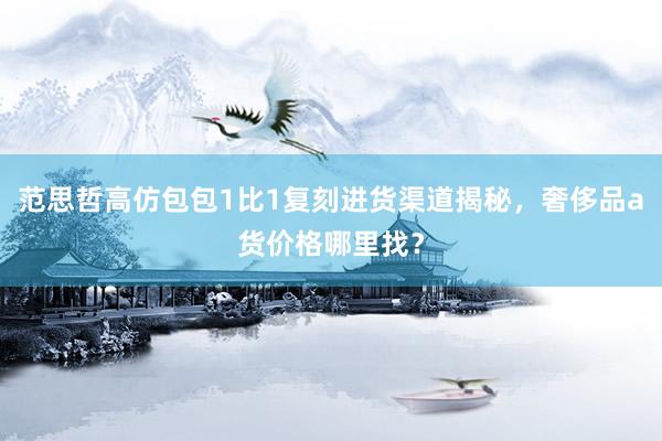 范思哲高仿包包1比1复刻进货渠道揭秘，奢侈品a货价格哪里找？