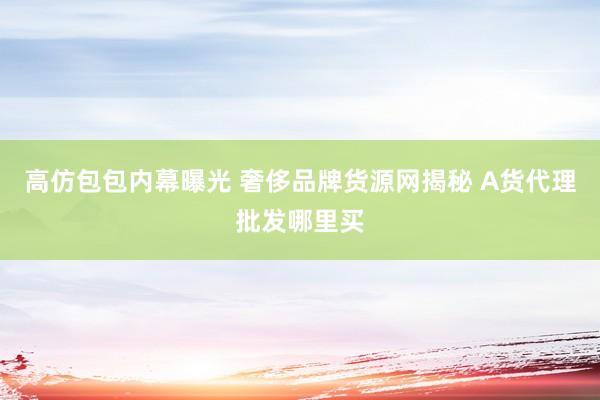 高仿包包内幕曝光 奢侈品牌货源网揭秘 A货代理批发哪里买