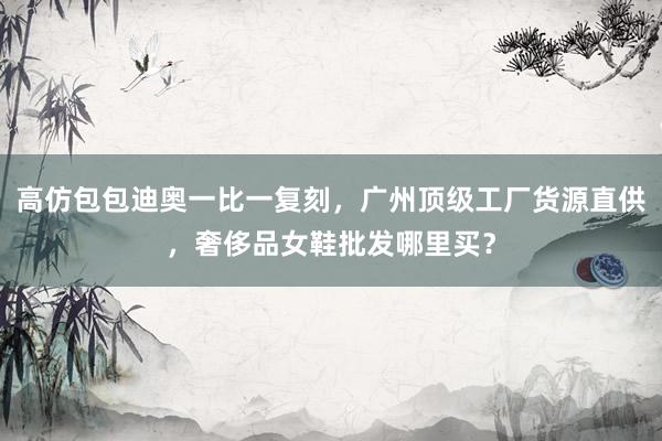 高仿包包迪奥一比一复刻，广州顶级工厂货源直供，奢侈品女鞋批发哪里买？